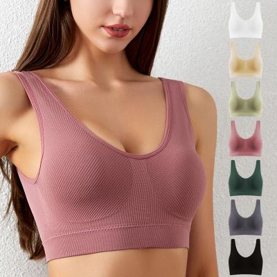 China Rimless sports beautiful back sports set underwear women vest bra small chest gathered large size slim strapless sexy girl breast wrap for sale