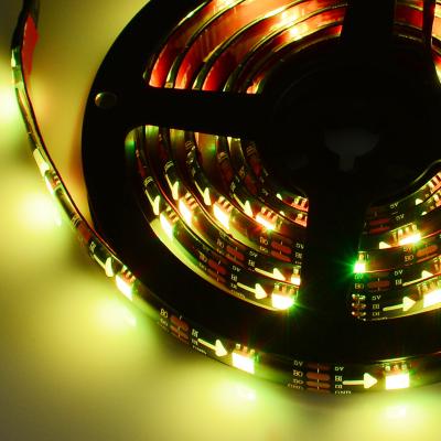 China LANDSCAPE WS2813 60leds led strip 5V WS2812 WS2813 dreamy color pixel led strip RGB RGBIC accessible for sale