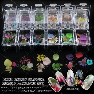 China TSZS Wholesale 12 Colors Nail Art Broken Real Beauty Dried Flower Set Mixed Package Decoration For DIY Nails Design ZS248 for sale