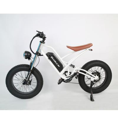 China New Steel E-Bikes 500W High Speed ​​13Ah Battery Big 20 Inch Fat Tire 48V E-Bike Electric Bicycle for sale