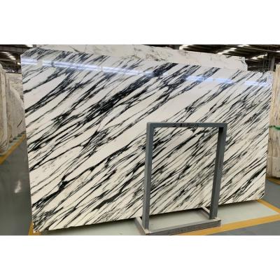 China Modern New Arrival Chinese Arabescato Marble Black And White Marble Slab for sale