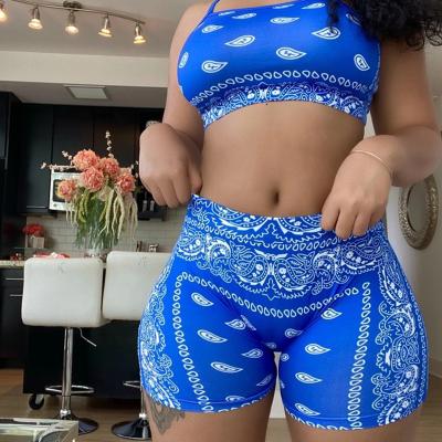 China 2021 Summer New Arrival Sporty Set Two Plus Size 2 Piece Outfits Sleeveless Paisley Casual Sets For Women for sale