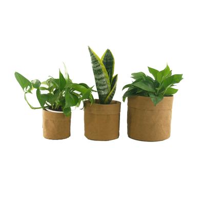 China Waterproof First Class Decorative Flower Pot Kraft Paper Small Gardening Material With Brand Label for sale