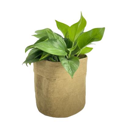 China Factory price garden bulk waterproof high quality flower pots for indoor planters for sale