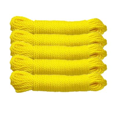 China Multiple Use Top Selling Super Strong Twisted Or Braided Fishing Rope PE Racing Rope for sale