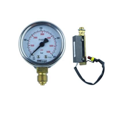 China High quality black steel black steel cng gas pressure gauge for sale