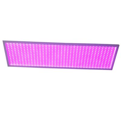 China 100W LED-groeilichten Volledig spectrum 120° straalhoek met hoge lichtintensiteit Te koop