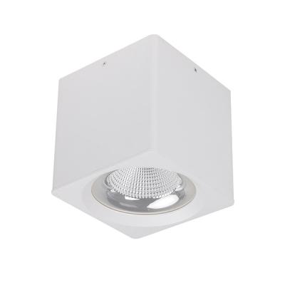 China Extra Long Lasting LED Downlight Long Lifespan With Adjustable Light Color for sale