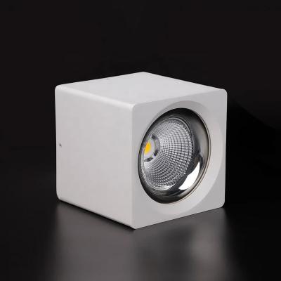 China 12W Integrated Downlight CRI 80 for Customizable and Versatile Lighting Solutions for sale