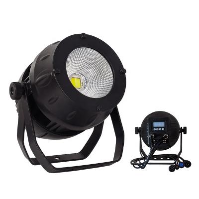 China IP65 DMX Disco Led 200w COB Par Lighting Outdoor 100W Christmas Lights Warm White Light for sale