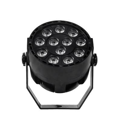 China Easy Installation Voice Control 12PCS 3W Led Flat Par Can DMX Lights for sale