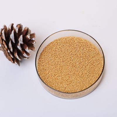 China Adult Vitamin Supplements Private Label Seabuckthorn Sustained Release Pellets Healthcare Supplement Anti-fatigue Immune for sale