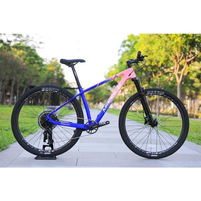 China Aluminum Alloy Rim 24 Speed 29 Inch Carbon Mountain Bike for Mountain Adventures for sale