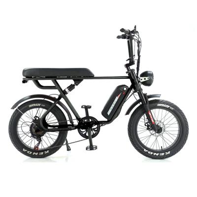 China Outdoor Adventure 20*4.0 Kenda Fat Tire Double Disc Brake Mountain Bike For Teens for sale