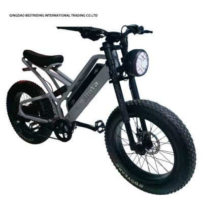 China Mechanical Disc Brake Electric Bike 48v 500w Motor Ebike 2 Wheel 20 Inch Fat Tire for sale