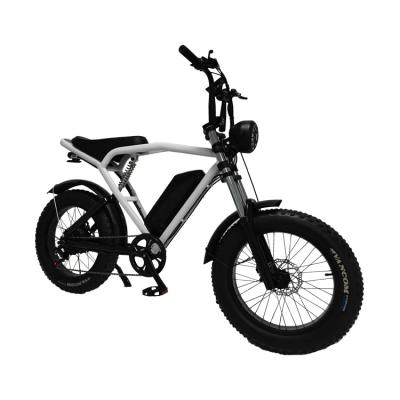 China 1460*320*840mm REMOVABLE BATTERY Hot E-Bike Fat Tire Mountain Bike Electric Bicycle for sale