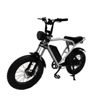 China Off-Road 20*4.0 Kenda Tire Electric Bike for Thrilling Rides and Fast Shipping for sale