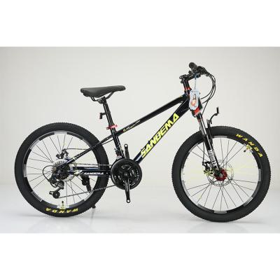 China Steel Frame 20 Inch WANDA 20*2.125 Tyre Children Bicycle for Durable 21 Speeds MTB for sale