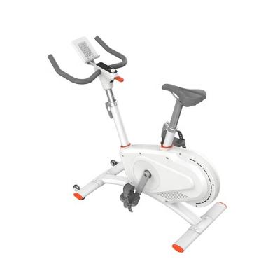 China Get in Shape at Home Noiseless Indoor Gym Exercise Spinning Bike with Max. Torque 32N for sale