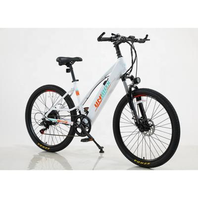 China Customized 6 Speed Lithium Battery Electric Mountain Bike for Off-Road Adventures for sale