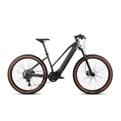 China 48V15Ah Lithium Battery Electric Bicycle with M510 Mid-Drive Motor and Sram NX Parts for sale