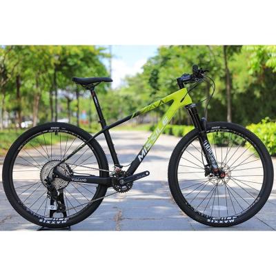 China Sunshine 11-50T 12 Speed HG Cassette Mountain Bike 29 Inch 24 Speed Cycle for Adults for sale