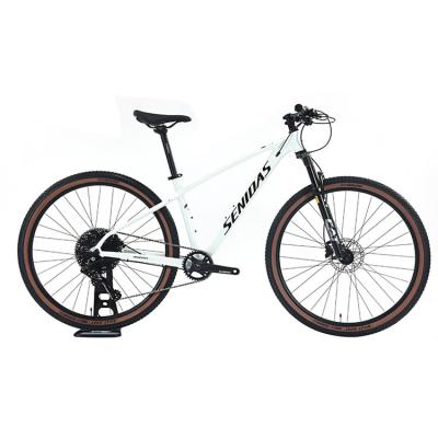 China 11-52T Gears Range Downhill Mountain Bike with Shimano Shifter and Ordinary Pedal for sale