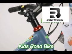 steel frame 20 inch wanda 20*2.125 tyre children bicycle for durable 21 speeds mtb
