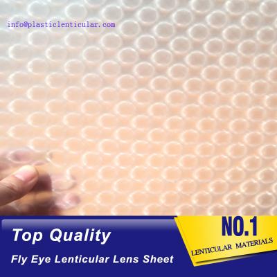 China PLASTIC LENTICULAR 3d 360 degrees fly eye film plastic lenticular fly eye lens sheet material with image for sale