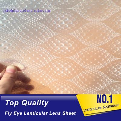 China PLASTIC LENTICULAR dot lens sheet both sides dot lenticular 360 3d lens sheet imported from Korea for sale