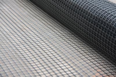 China Polyester Composite Geo Grid Ground Grid Polyethylene Membrane Te koop