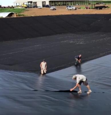 Κίνα HDPE Plastik Geomembrane Geosynthetic εφαρμοσμένης μηχανικής δεξαμενών κόστος σκαφών της γραμμής ανά τετρ.μέτρο προς πώληση