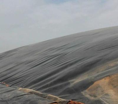 Cina Rivestimento di strato di Geomembrane dell'HDPE del polietilene ad alta densità LLDPE per lo stagno in vendita