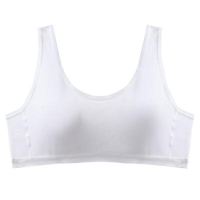 China Seamless Comfortable Cotton Kids Seamless Teen Bra Push Up Breathable Teenage Bra for sale