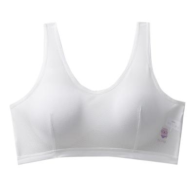 China New Design Breathable Soft Friendly Soft Wire Free Bra Ladies Underwear Maiden Skin Ladies Underwear Bra for sale