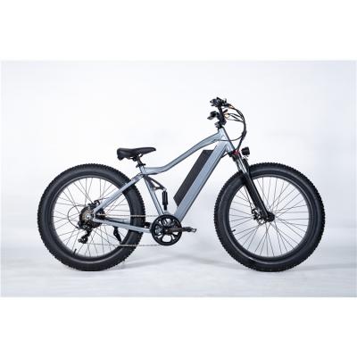 China JYL 6061 Aluminum Alloy China Manufacturer Outside Frame Body E-bicycle 2022 Fastest Electric Bike for sale