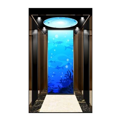 China China Passenger Elevators Modern Price from China Passenger Elevator Manufacturer for sale