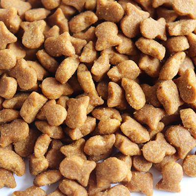 China Sustainable Cat Food Delicious Salmon Customized Pet Food for sale