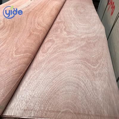 China Exterior Plywood Linyi Plb Veneer Factory for sale