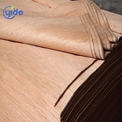 China Exterior Rotary Cut Bintangor Plywood Natural Laminate For Plywood Veneer for sale