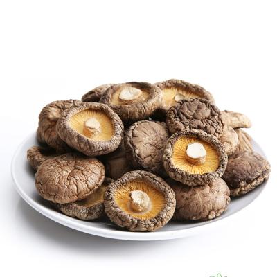 China Wholesale Dried Shiitake Mushroom Flower Shiitake Mushroom High Quality Organic Dried Whole Mushroom (4-5cm) Te koop