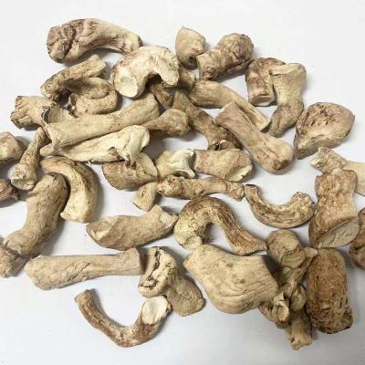 China Wholesale Dried Shiitake Foot Shiitake Mushroom Stalk For Factory Based Meat Vegan Meat Te koop