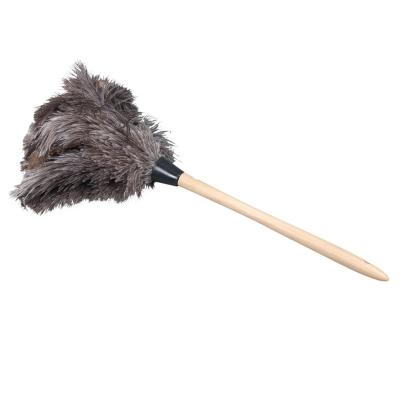 China 2021 viable new design ostrich feather duster with wooden handle from china factory for sale