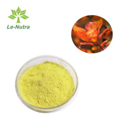 China Le Nutra Natural Fisetin Powder for sale