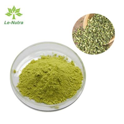 China C15H10O7 Quercetin Herbal Extract Powder Sophorae Japonicae Flos Extract for sale