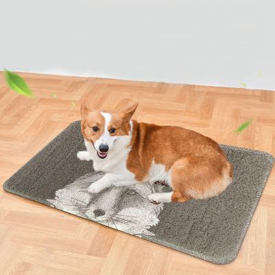 China Good Quality Sustainable Factory Directly Stop Dust Easy To Clean Reusable Skid Resistance Customize Name Waterproof Pet Mat for sale