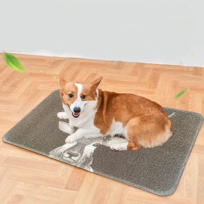 China China Sustainable Manufacturer Intercept The Dust Protect Floor Pro-Environment Silicone Dog Pet Wear Proof Mat for sale