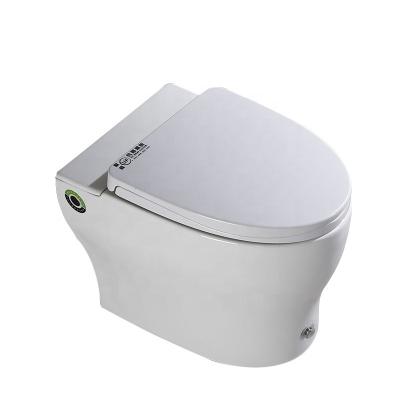 China Concealed Cistern 2021 New Decide Small Bathroom P-Trap Cistern Ceramic Tankless Hidden Cistern Pulse Toilet Cabinet for sale