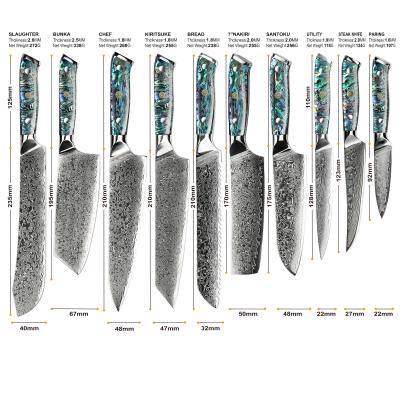 China Disposable Handmade Japanese Chef Knife 10pcs Damascus VG 10 Chef's Knife Set With Abalone Handle for sale