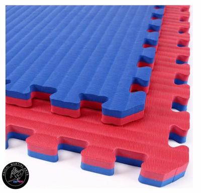 China Anti-Slip Color Haichi EVA Foam Training Karate Tatami Mats Taekwondo Puzzle Mat of Red&Blue 4cm for sale